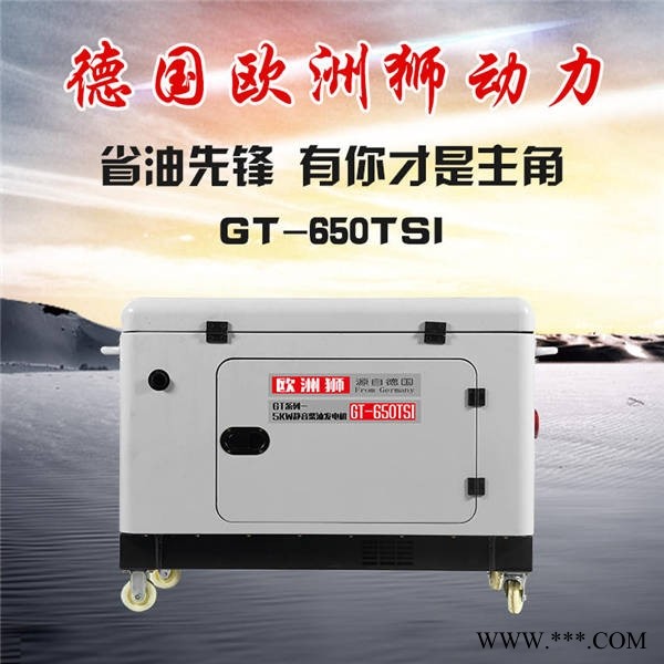 选用15kw柴油发电机欧洲狮动力图1