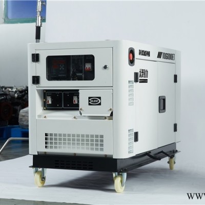 双缸柴油发电机12KW