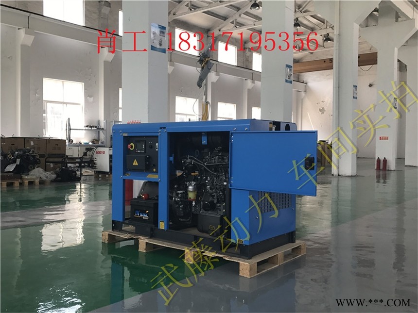 20KW大洋进口康明斯柴油发电机组图1
