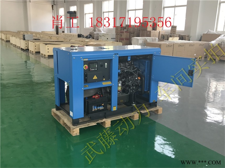 11KW数码变频柴油发电机图1