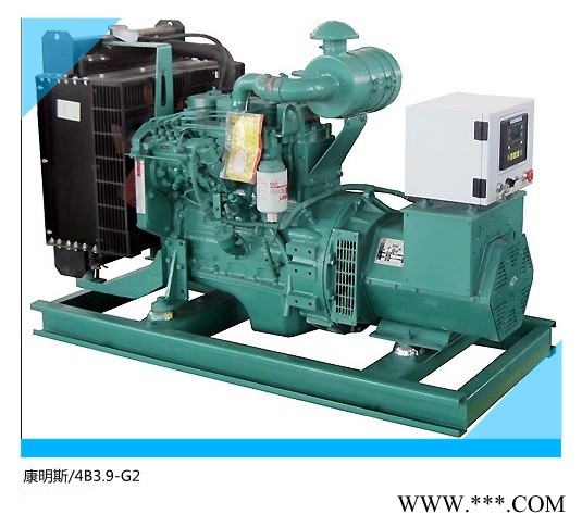 东莞大型发电机组厂家直销 发电机组销售30KW图1