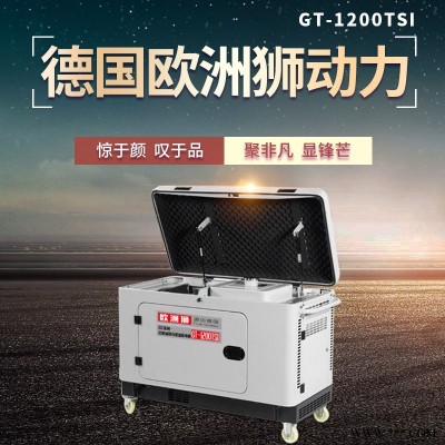 25kw德国欧洲狮高原发电机