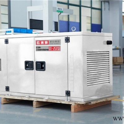 380V电机用的25000瓦单相发电机详情表