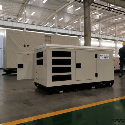 金口河区16KW康明斯 柴油发电机组