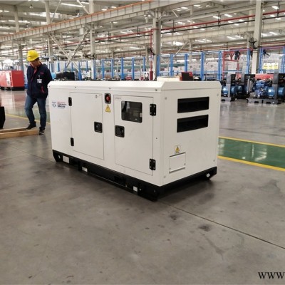 新建县230安发电电焊两用机图片