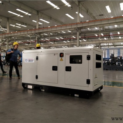 永寿县270KW斗山柴油发电机组