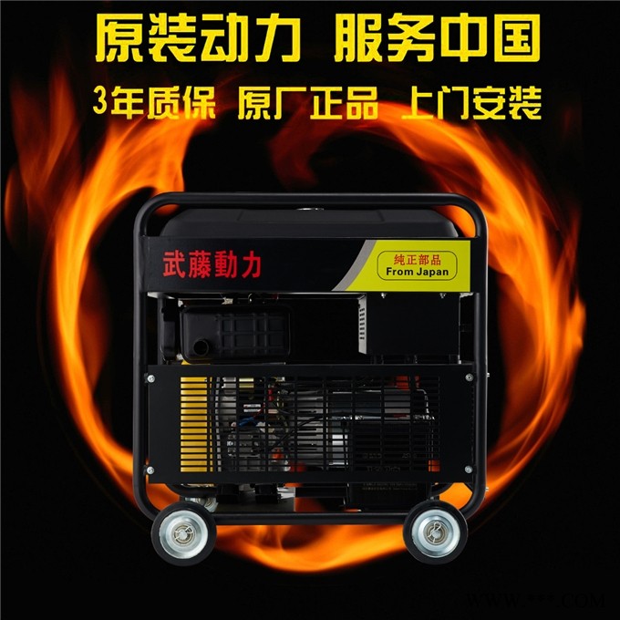 乐昌250a汽油发电电焊图1