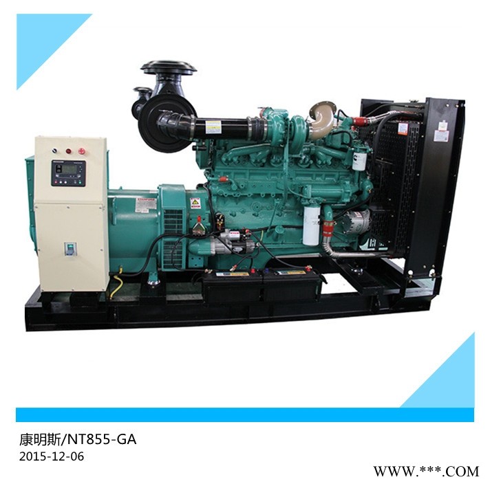 大朗 220KW康明斯柴油发电机组价格图1