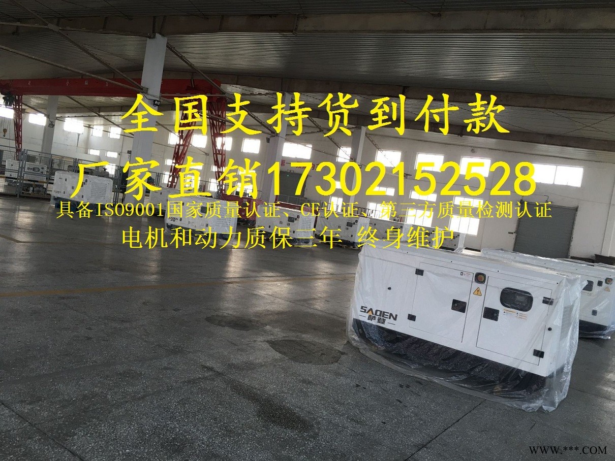萨登45千瓦kw大型水冷静音柴油发电机组DS45CE价格表图1