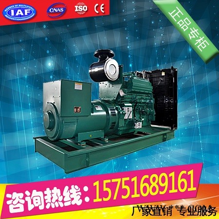 泰安发电机价格300KW大宇柴油发电机组.优惠热卖图1