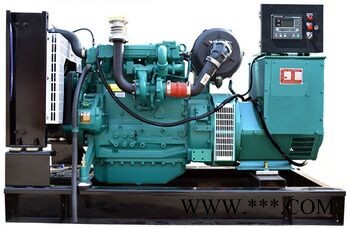 邢台50千瓦柴油发电机组 50kw加油站用电源工厂直销图1