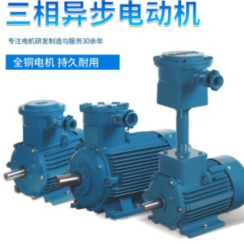 YBX3-315M- 4 132KW 隔爆型三相异步电动机 YBF 粉尘防爆电动机图3