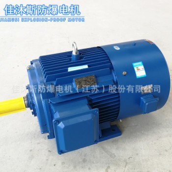 厂家供应三相变频调速电机YVP YVF2-315M-4 132KW 铜线变频电机图2