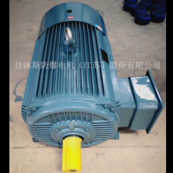 佳沐斯三相异步电动机YE3-315L1-4 160KW卧式380V节能铜线马达图3
