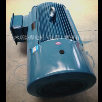 佳沐斯三相异步电动机YE3-315L1-4 160KW卧式380V节能铜线马达图2