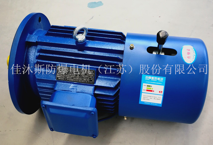 电磁制动三相电动机YEJ160M-4 11KW立式卧式快速抱闸刹车制动电机示例图5