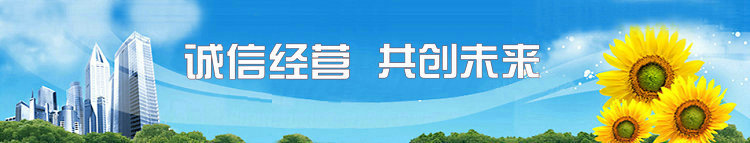 微型电动机 可逆电机 ND、74ND、TD可逆电机示例图28
