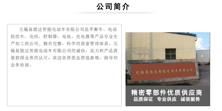 厂家直销 蜘蛛轮电动扭扭车自平衡车无刷直流电机 电动平衡超静音示例图2