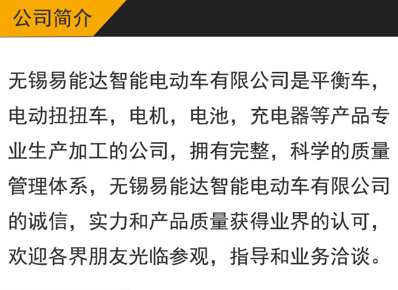 6.5寸透明平衡车 童车 扭扭车 电机漂移车平衡车发光电机厂家直销示例图5