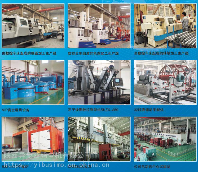 泰富西玛电机Y5002-2/800KW/10KV高压高效节能电机（可根据要求定制）