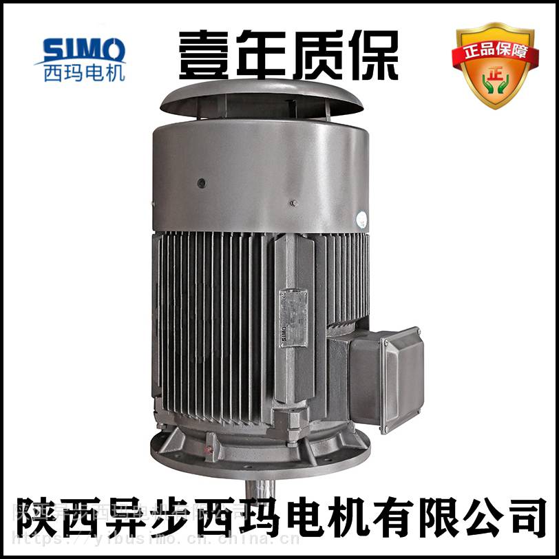 泰富西玛电机YE2-315L2-4/200KW造纸机械用电机