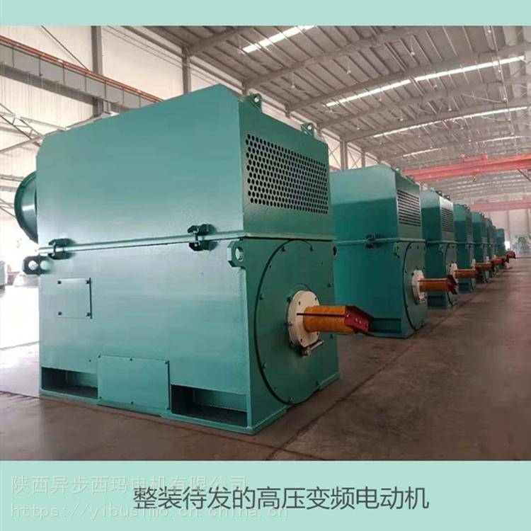 陕西西玛电机Y4001-6/220KW/10KV高压永磁电机（品牌电机）