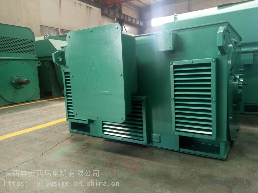 泰富西玛电机Y4004-2/315KW/10KV高压电机国家标准（品牌电机）