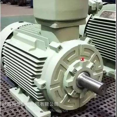泰富西玛电机YE2-200Ll-6/18.5KW风机设备用电机