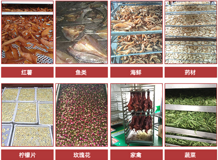 食品热风循环烘箱 农副产品干燥设备 中药材烘干机干燥机生产厂家示例图21