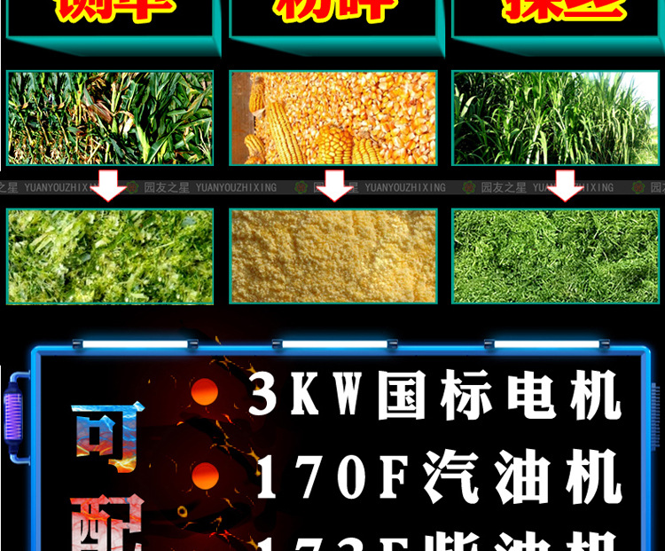 玉米秸秆铡草机220V两相电机粉碎揉丝机干湿两用多功能切草粉碎机示例图12