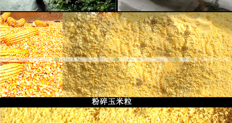 玉米秸秆铡草机220V两相电机粉碎揉丝机干湿两用多功能切草粉碎机示例图33