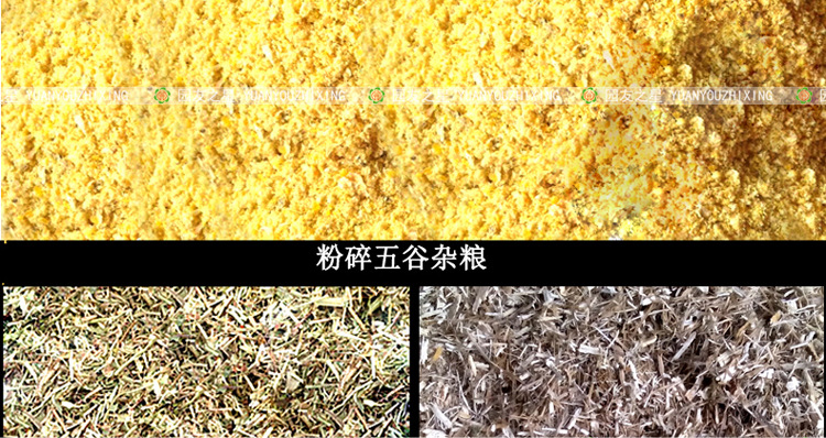 玉米秸秆铡草机220V两相电机粉碎揉丝机干湿两用多功能切草粉碎机示例图34