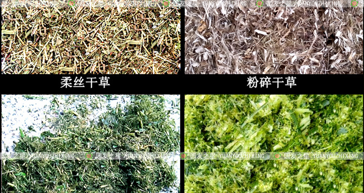 玉米秸秆铡草机220V两相电机粉碎揉丝机干湿两用多功能切草粉碎机示例图15