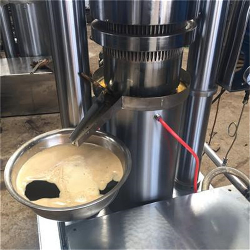 卧式电机液压榨油机 香油机报价 家用大豆榨油机械 新型榨油机大型