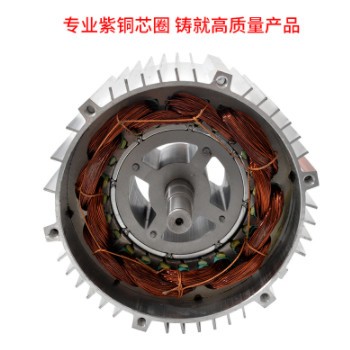 厂家直供无刷120中置立式电机48v60v电动三轮四轮车电机批发图3
