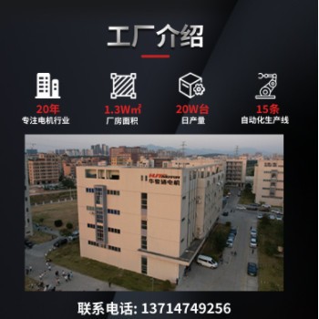 厂家直销HFF-M20微型直流电机 适用于伺服器 精密仪器 安防仪器图3