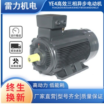 雷力电机厂家销售YE4系列三相异步电动机 YE4-80/90/100/112/132M图2