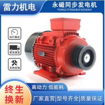 雷力机电 厂家现货销售 高效率永磁同步发电机15KW同步转速发电机图2