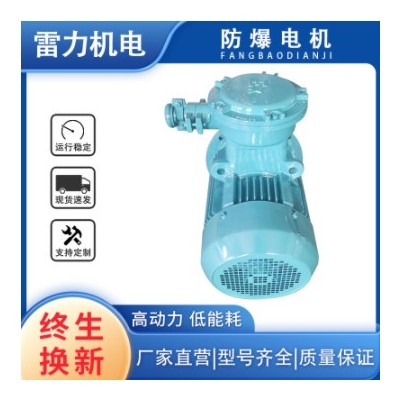 雷力电机厂家销售 YBX4防爆机械设备电机 YBX4-355M/L/S1/2-2/4/6