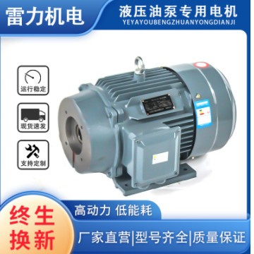 雷力电机液压油泵电机315/355/400/M/L—2/4/6/8/10/12低噪音图2