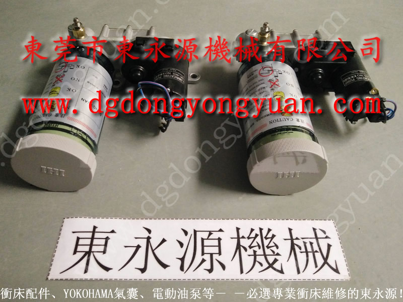 東南亞 冲床油封,过载油泵LS257批发 找 东永源