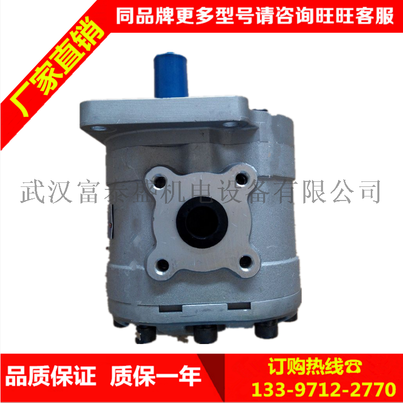 CBN-314-扁左(法兰)齿轮泵