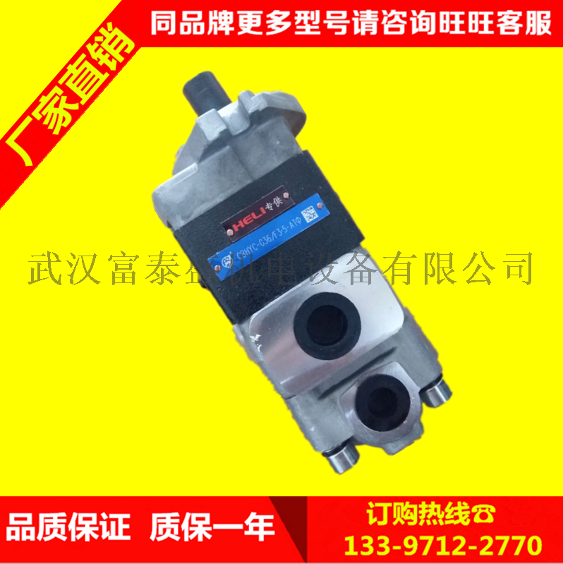 合肥长源液压齿轮泵CBHT-F310-平右(法兰)