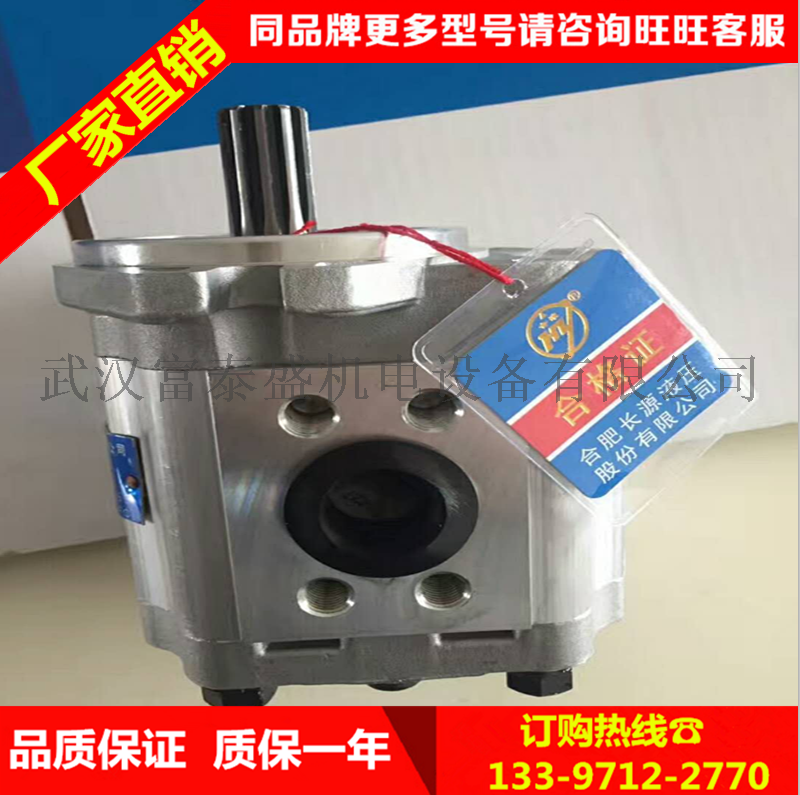 合肥长源液压齿轮泵齿轮泵 CBFZD-F20AFK1 十齿渐开线内花键/法兰连接