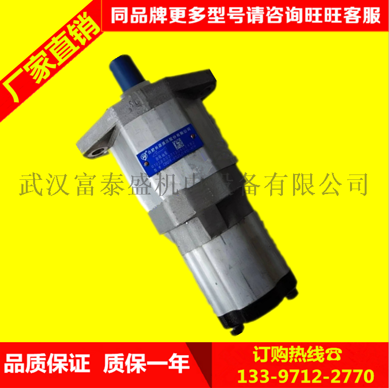 合肥长源液压齿轮泵齿轮泵(法兰)CBT-F419.2-AFHL十左