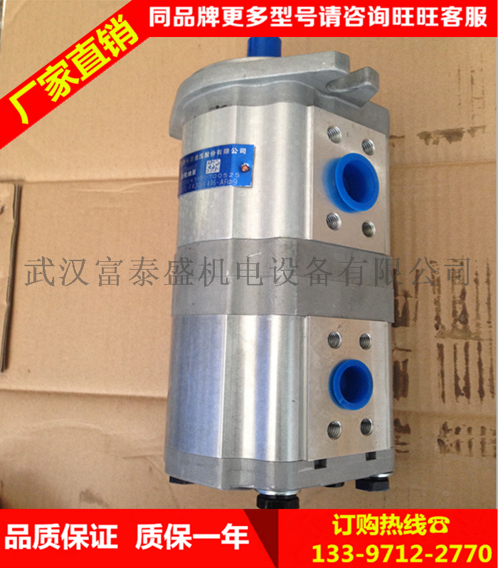 合肥长源液压齿轮泵齿轮泵(法兰)CBT-F419.2-AFHL十左