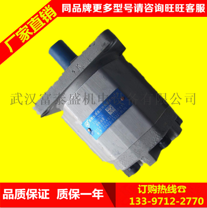 合肥长源液压齿轮泵齿轮泵(法兰)CBQ-F540-AFPL平左