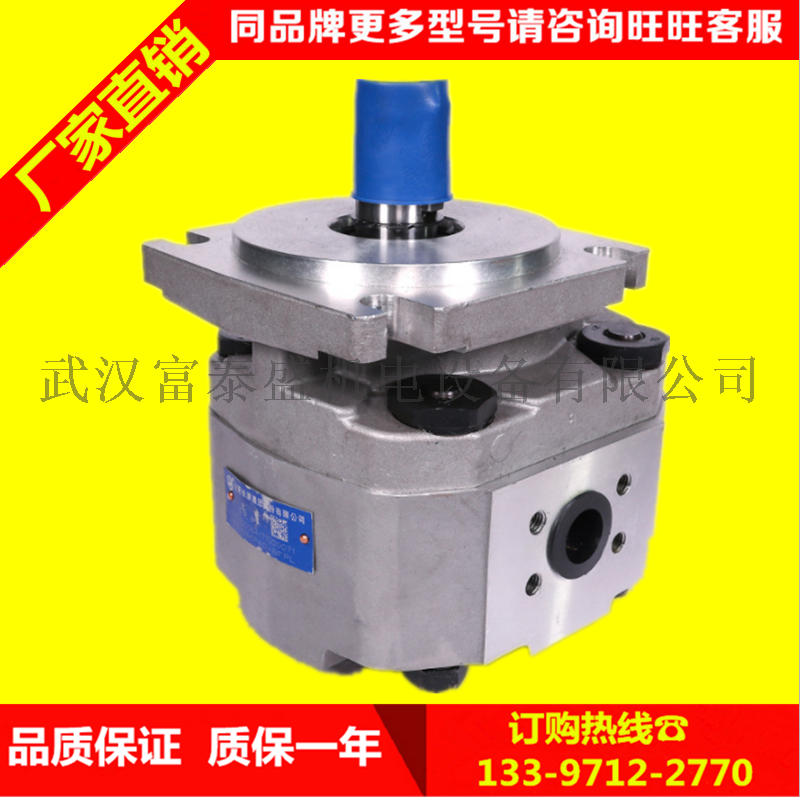 合肥长源液压齿轮泵齿轮泵(法兰)CBQ-F540-AFP平右