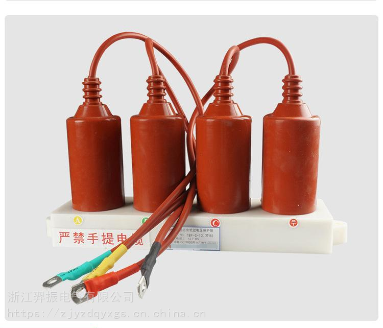 SKB-B-12.7/400组合式过电压保护器