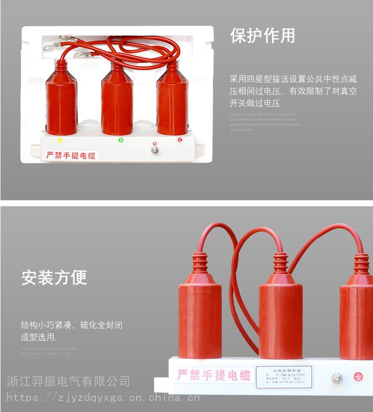 TBP-B-42F/280-IM组合式过电压保护器